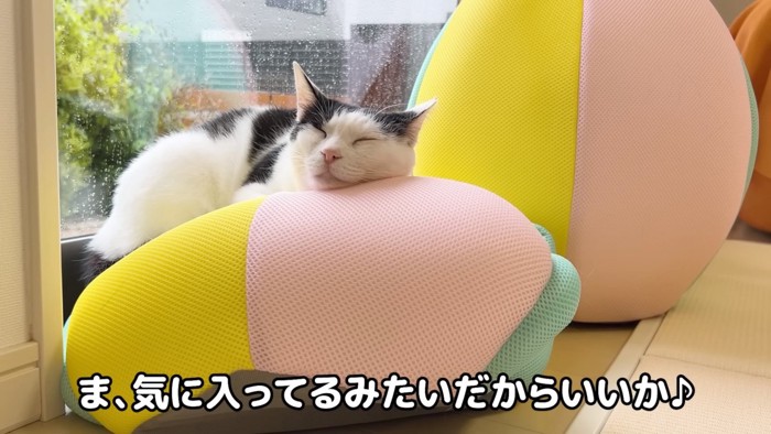 気持ちよさそうに眠るホルンくん