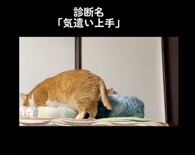 気遣い上手