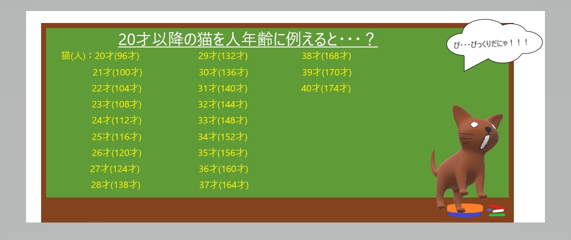 20才以降の猫と人間の年齢表