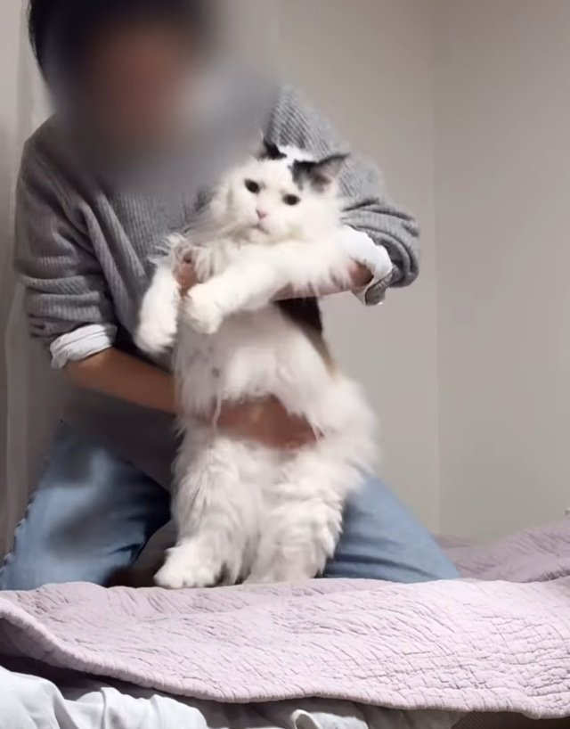 飼い主さんに抱えられるまろくん