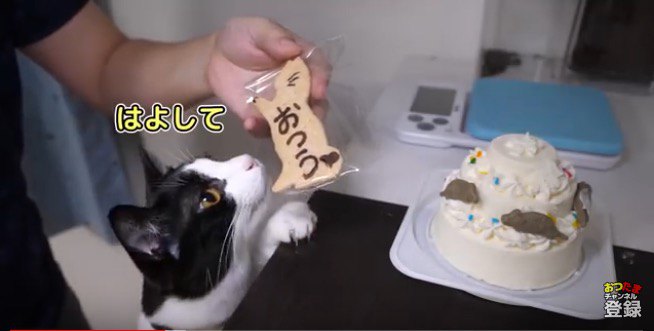 誕生日ケーキ