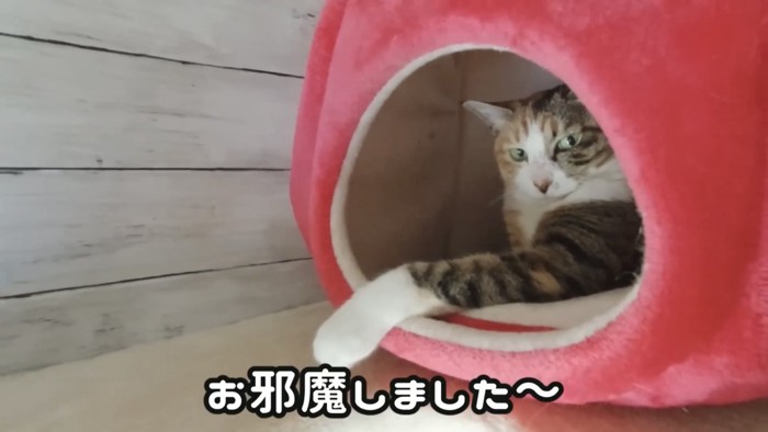 「お邪魔しました～」のテロップ写真
