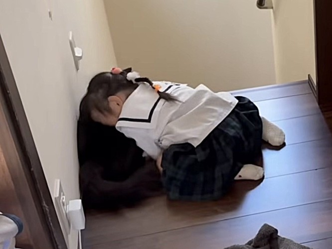 猫の背中にすりすりする妹
