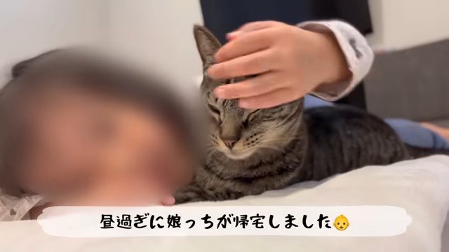 猫を撫でる少女