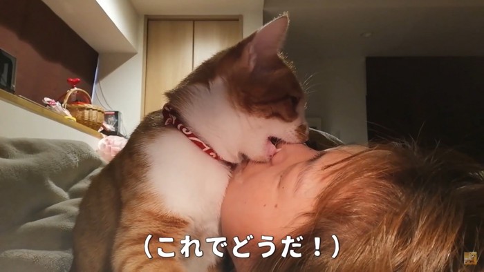 起きない飼い主さんにガブリ！