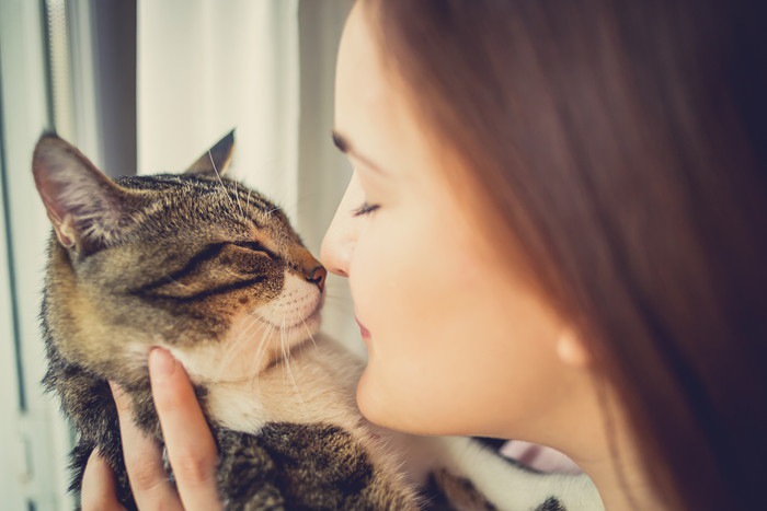 鼻チューをするヒトと猫