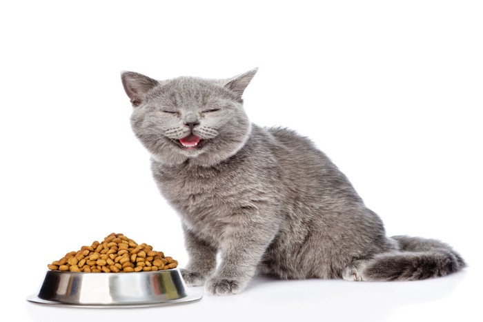 微笑む猫