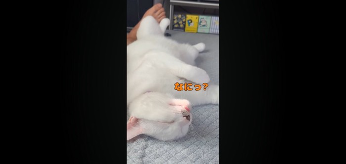 なにっ?