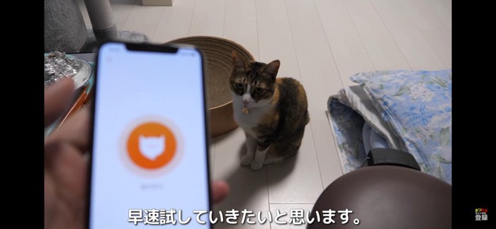 猫語翻訳アプリ