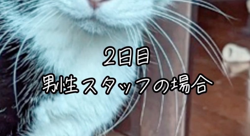 2日目