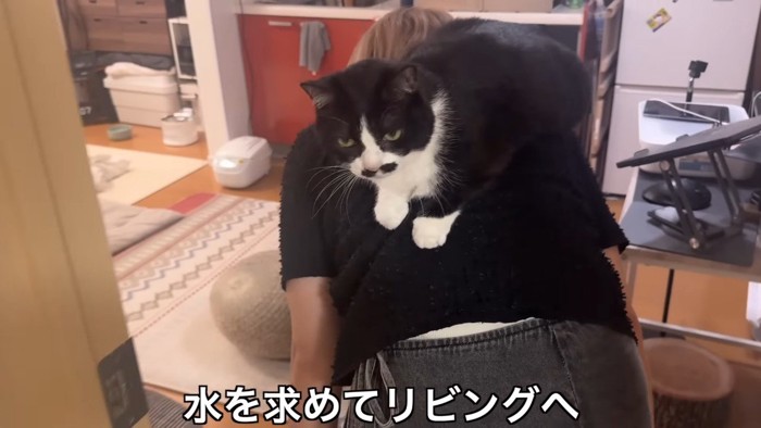 リビングへ