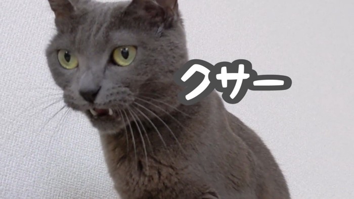 クサー