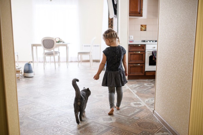 歩いている猫と女の子の後ろ姿