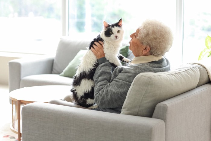 高齢男性に抱かれる猫