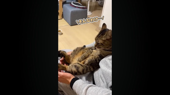 そんなわけ