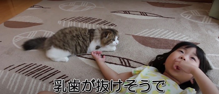 猫と寝転んでいる子ども