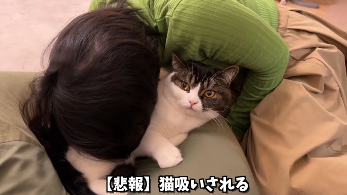 猫吸いされる猫