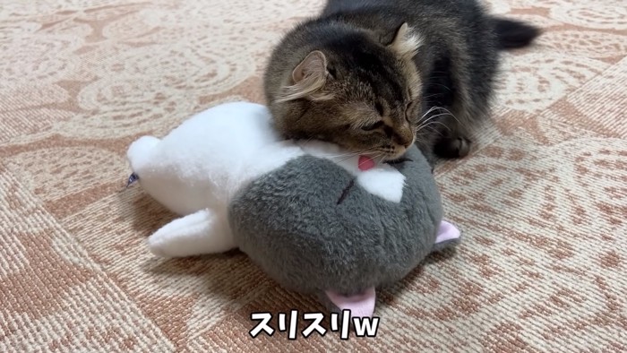 ぬいぐるみにスリスリする猫