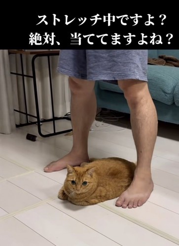 「ストレッチ中ですよ?...」のテロップ写真