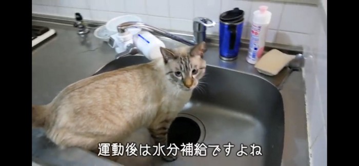 水分補給