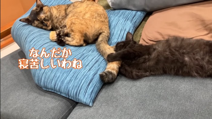 寝苦しいわね
