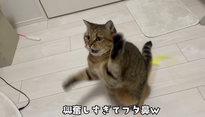 興奮しすぎて