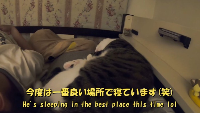 一番良い場所で