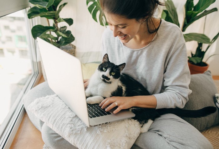 飼い主の膝の上でPCを覗く猫