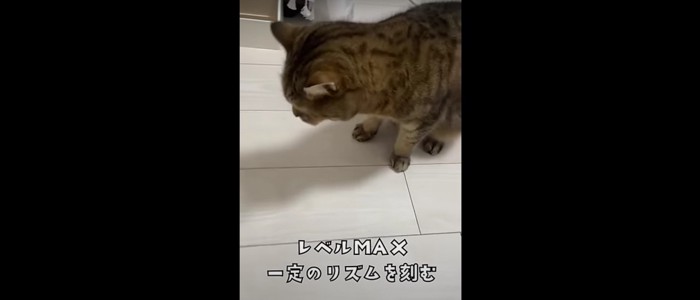 えづいている猫