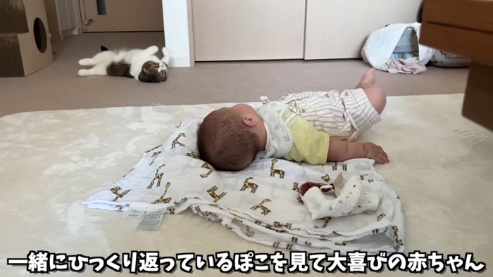 赤ちゃんとヘソ天の猫