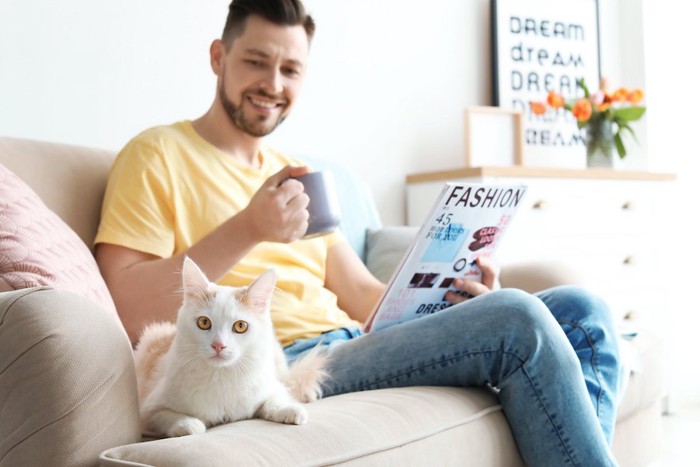 男性と一緒にソファーで寛ぐ猫