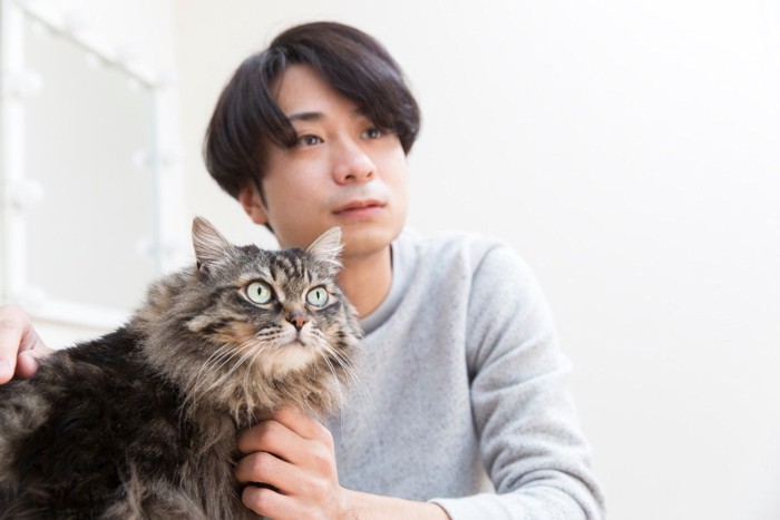 猫と若い男性