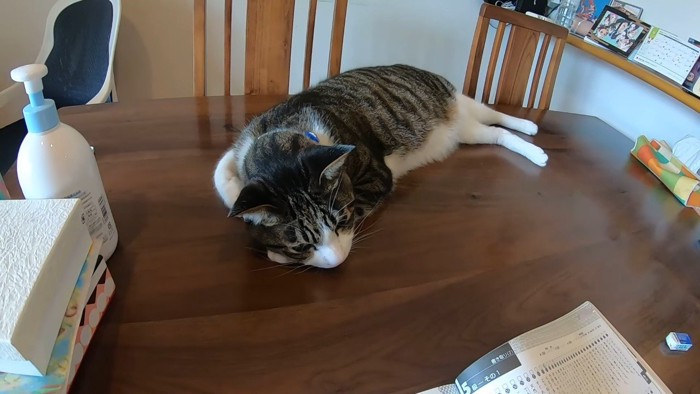 テーブルの上で