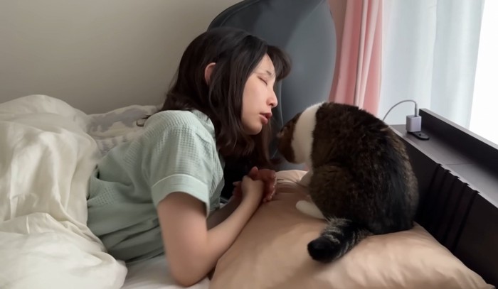 枕に座る猫と眠そうな女性