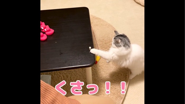 マスコットにパンチする猫