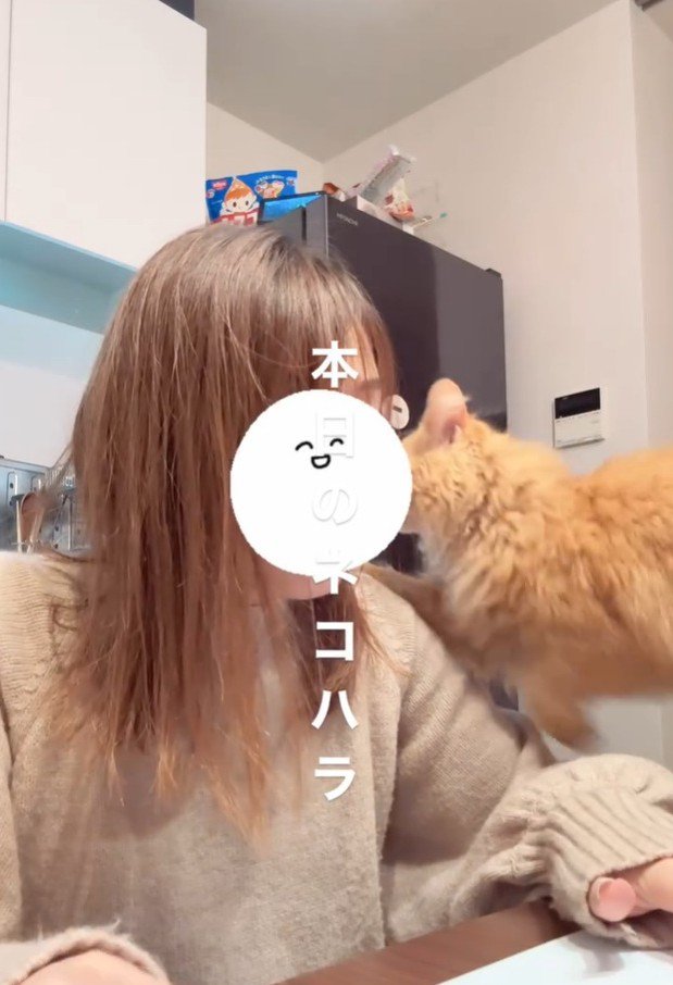 肩に前足をかける猫