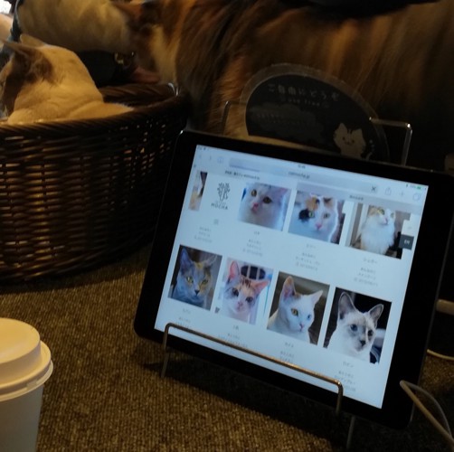 店内のタブレット写真