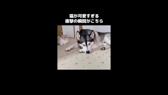くつろぐふたり