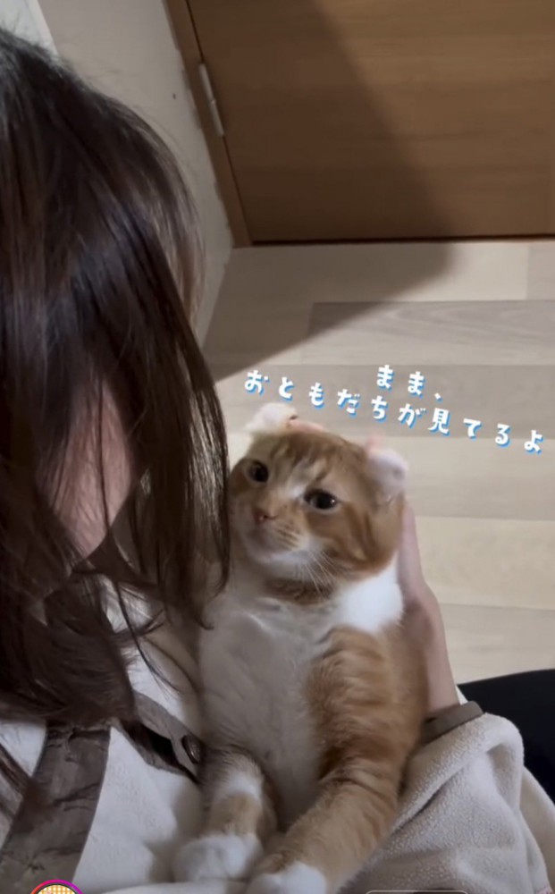 飼い主を見つめる猫