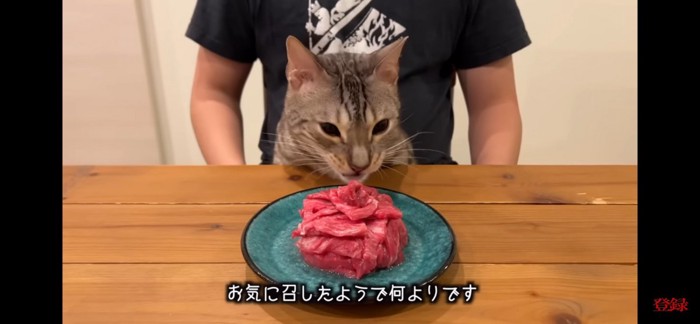 肉ケーキ