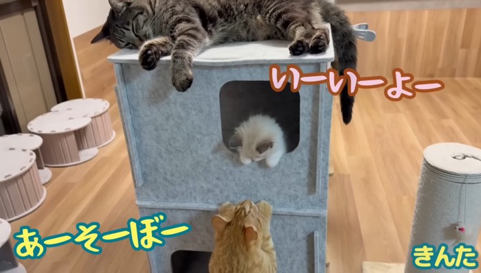あーそーぼー