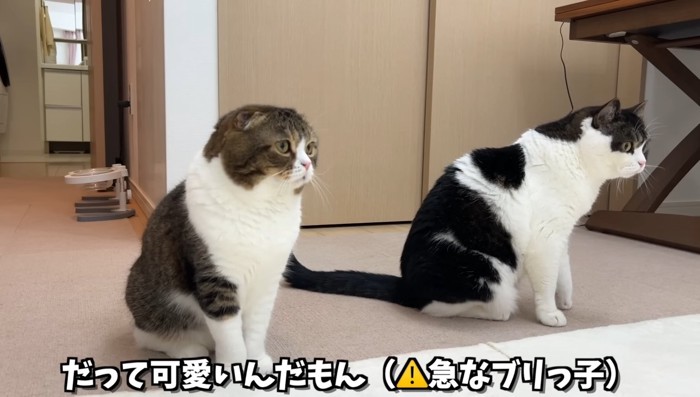 並ぶふたり
