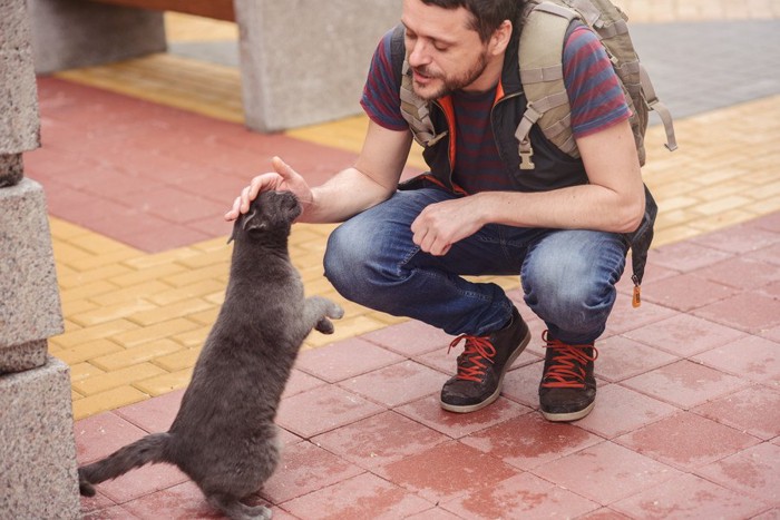 猫に声をかけてなでる人