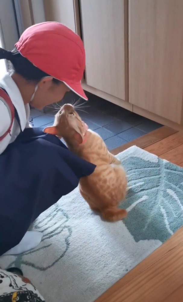 女の子と猫