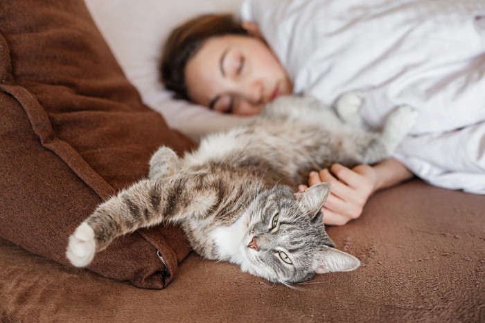 寝ている飼い主にお尻を向ける猫