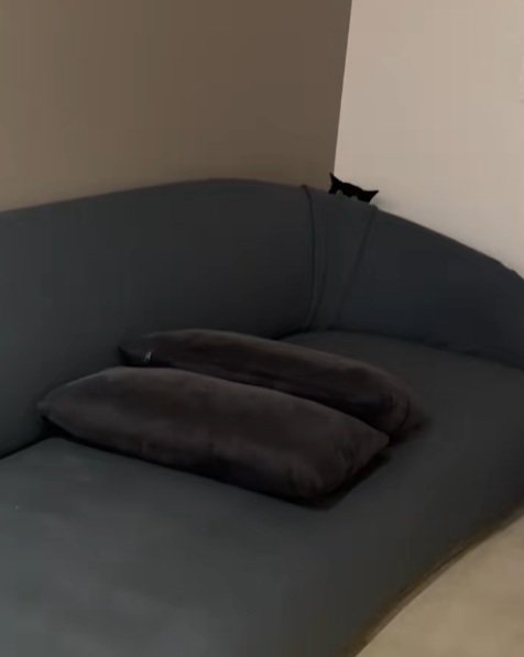 ソファーの後ろに隠れている黒猫