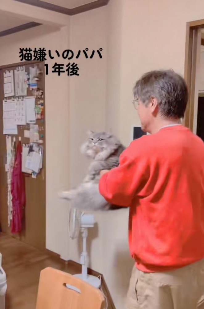 猫を抱っこして回るお父さん