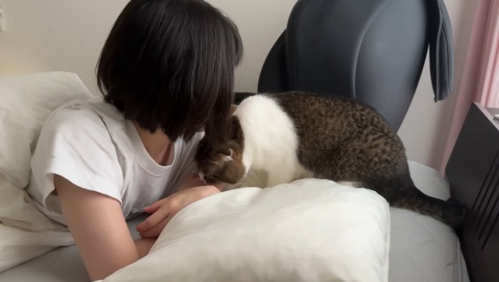 手をガブッ