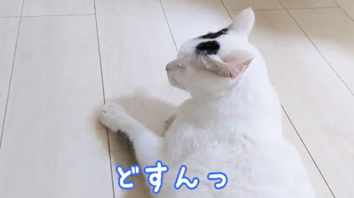 甘えつかれたチロくん