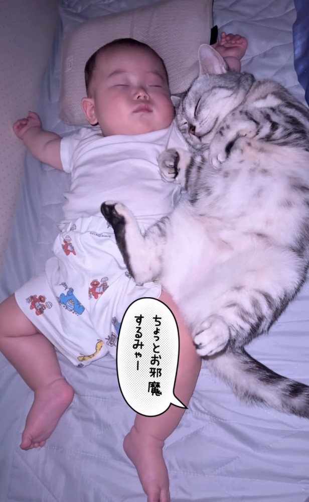 眠る赤ちゃんと猫2
